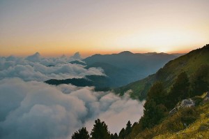 独立站和官网的区别